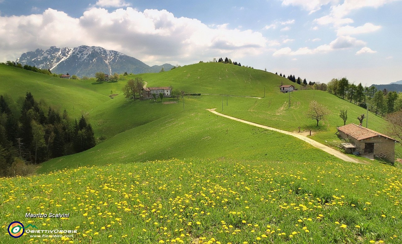 45 Le bucoliche colline di Dossena, spunta l'Alben....JPG